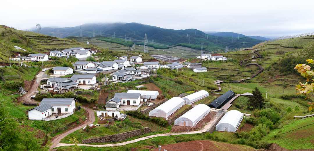 EBET易博·(中国)真人平台