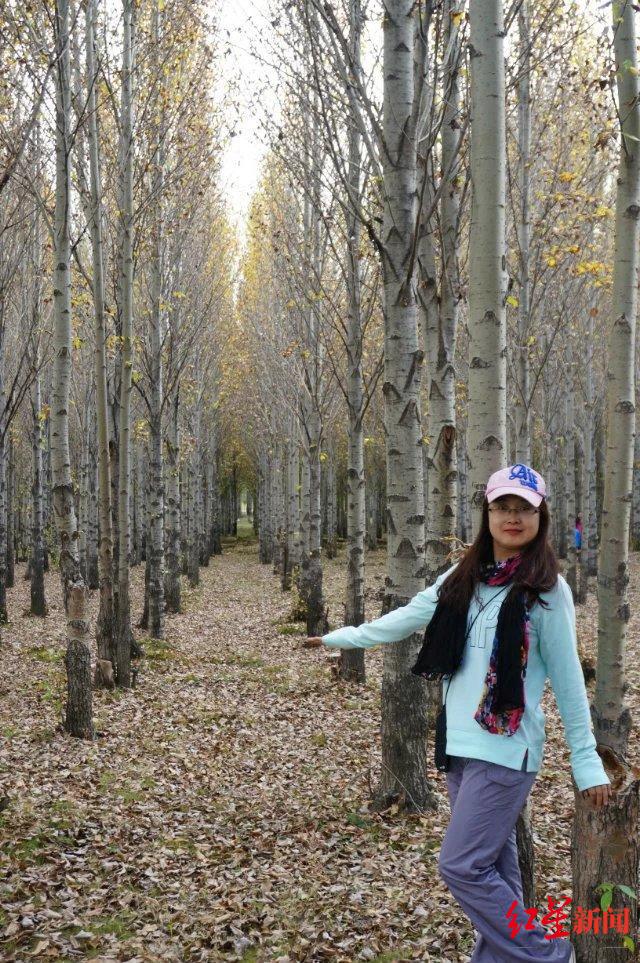 ɶδ | ɶҵȦǿ˲롱ѡ߶ȣ12ᴺͬǡ