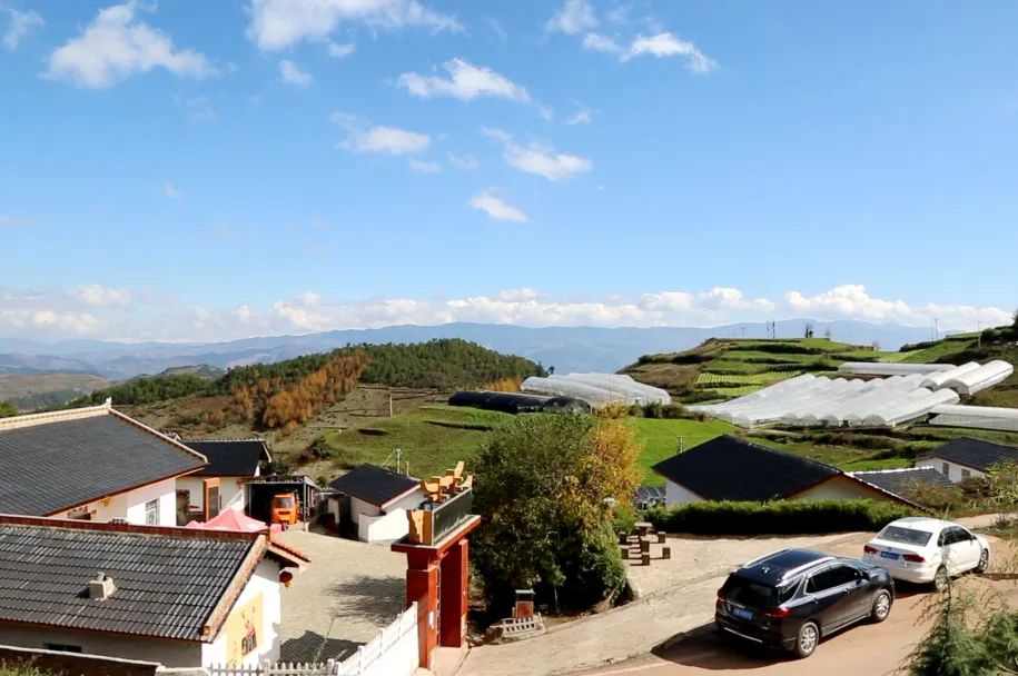 EBET易博·(中国)真人平台